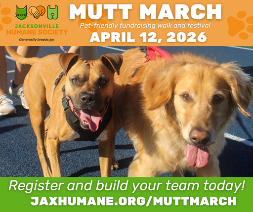 Promotional banner for Jacksonville Humane Society’s “Mutt March” pet-friendly fundraising walk and festival on April 12, 2026. The top section features the Jacksonville Humane Society logo and the event title “MUTT MARCH” with the subtitle “Pet-frie